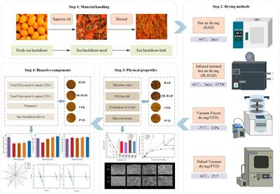 Effects of different drying techniques on sea buckthorn pomace: comprehensive assessment of drying characteristics, physicochemical properties, and odor